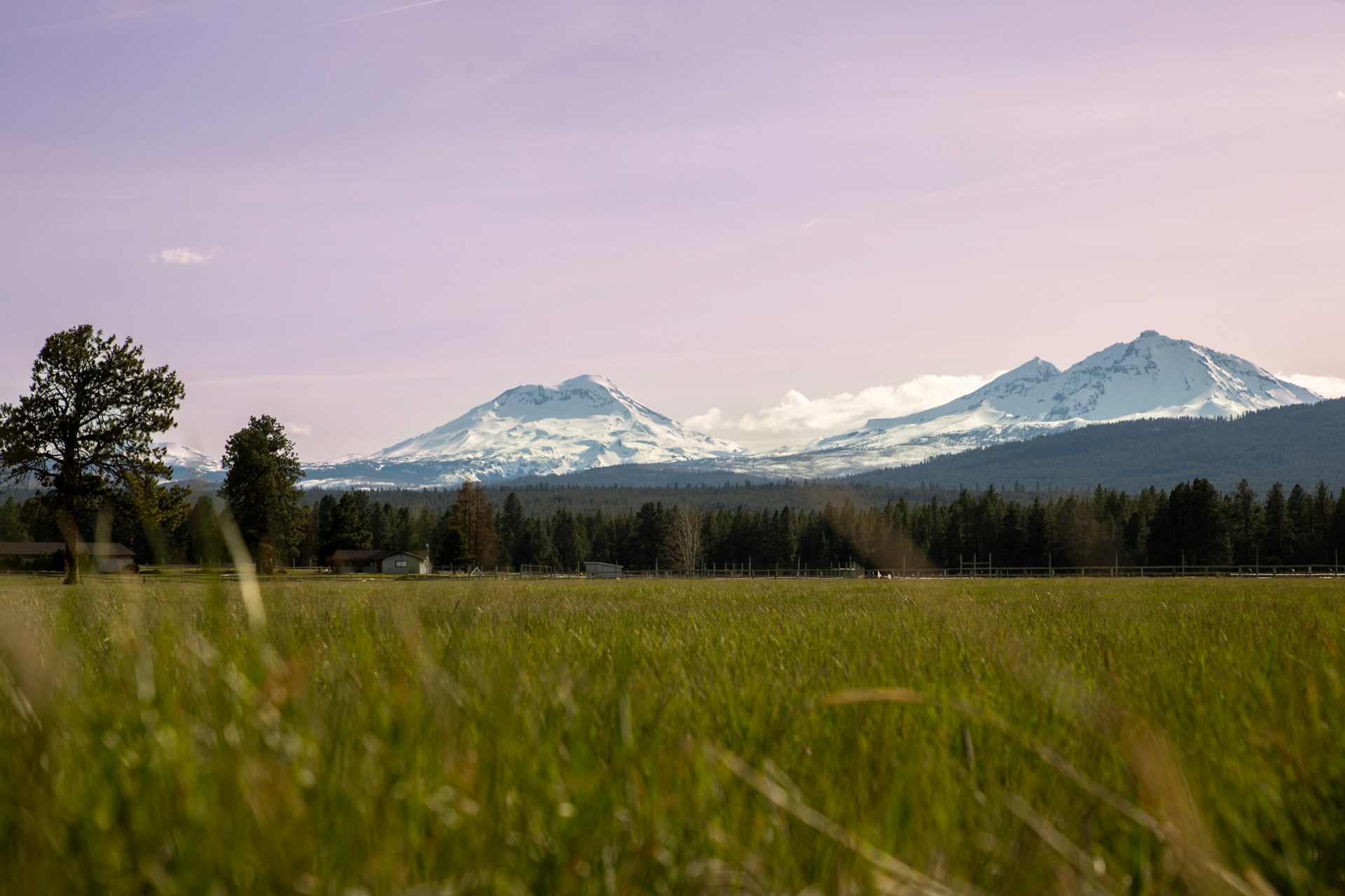 a grassy field with mountains in the background