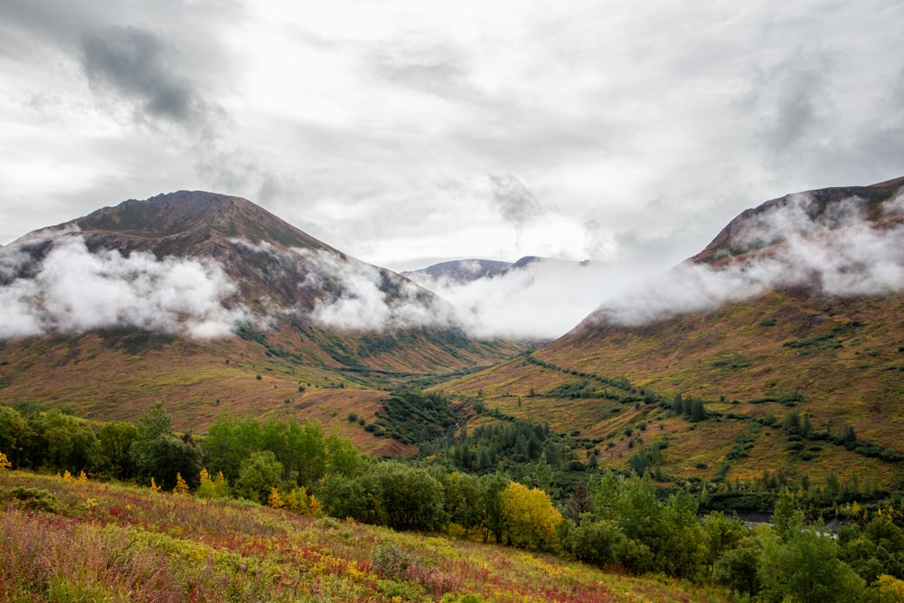 a scenic view of a valley with mountains in the background