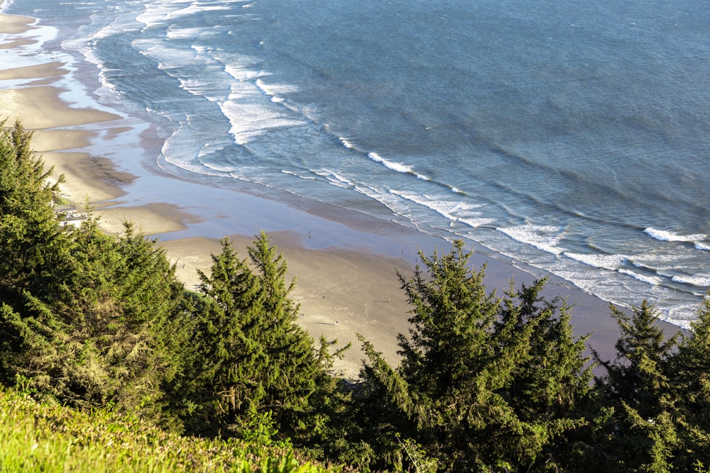 a view of a beach from above some trees