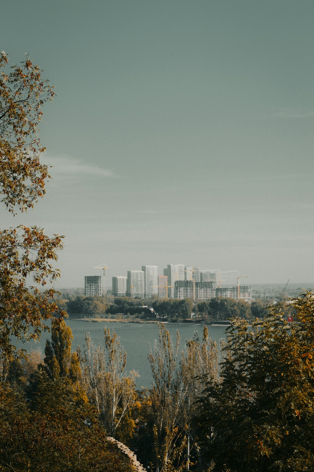 a large body of water surrounded by trees