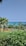 A lush park with vibrant greenery and palm trees is foregrounded by a clear view of the ocean. The playground equipment is colorful and bright, contrasting with the blue sky and sea. The scene is peaceful and serene, evoking a sense of relaxation.