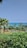 A lush park with vibrant greenery and palm trees is foregrounded by a clear view of the ocean. The playground equipment is colorful and bright, contrasting with the blue sky and sea. The scene is peaceful and serene, evoking a sense of relaxation.