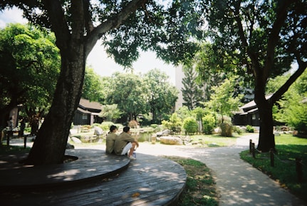 a couple of people sitting on top of a wooden bench