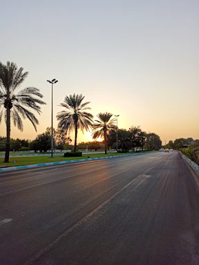 A beautifully landscaped lot at South Palm Grove with modern street lighting and paved roads under a sunset sky.