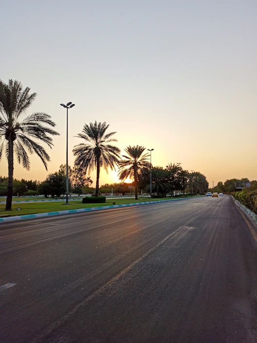 A beautifully landscaped lot at South Palm Grove with modern street lighting and paved roads under a sunset sky.
