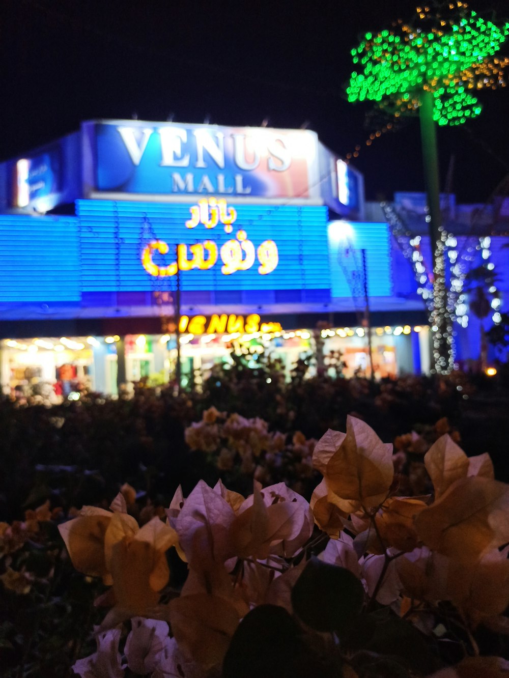 a building lit up at night with flowers in the foreground