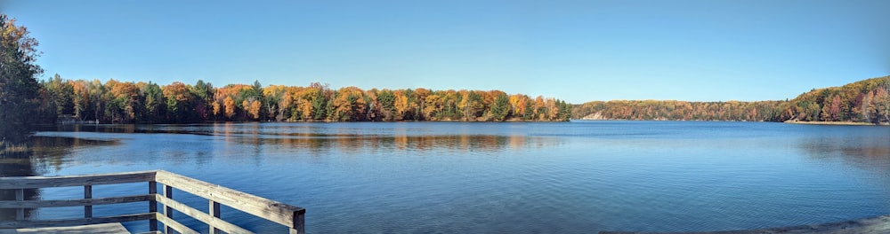 Un lago circondato da una foresta piena di alberi