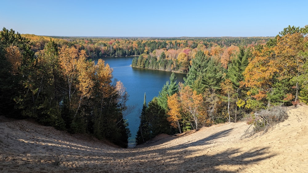 a scenic view of a lake surrounded by trees