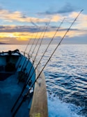 Several fishing rods are lined up on the side of a boat as it travels over gentle waves. The sun is setting or rising, casting a warm glow across the sky, which is filled with scattered clouds.