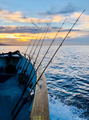 Several fishing rods are lined up on the side of a boat as it travels over gentle waves. The sun is setting or rising, casting a warm glow across the sky, which is filled with scattered clouds.
