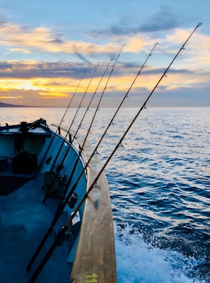 Several fishing rods are lined up on the side of a boat as it travels over gentle waves. The sun is setting or rising, casting a warm glow across the sky, which is filled with scattered clouds.