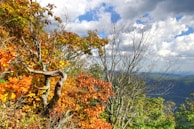 A scenic view of a Canadian landscape with autumn foliage.