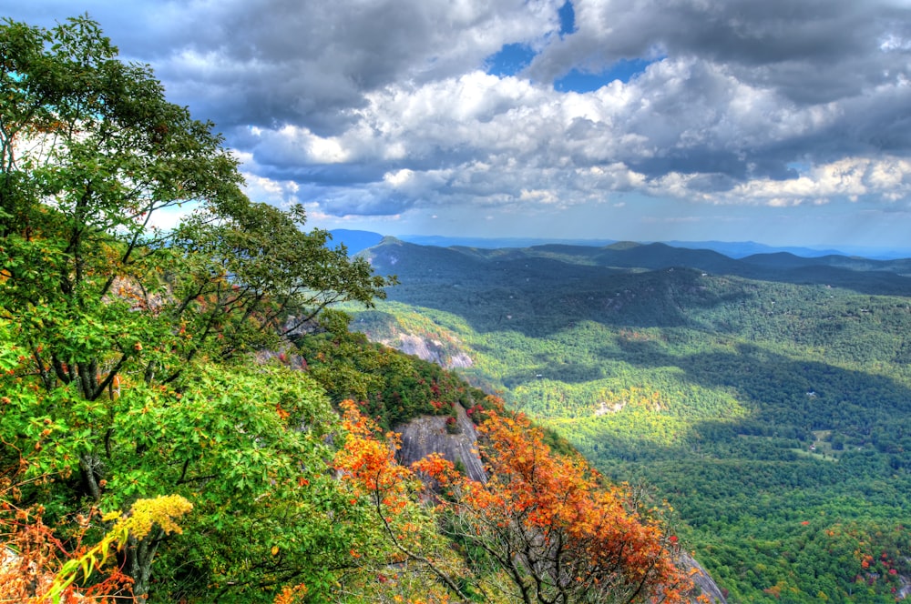 a scenic view of the mountains and trees