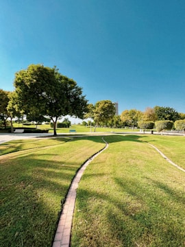 a grassy field with a path going through it