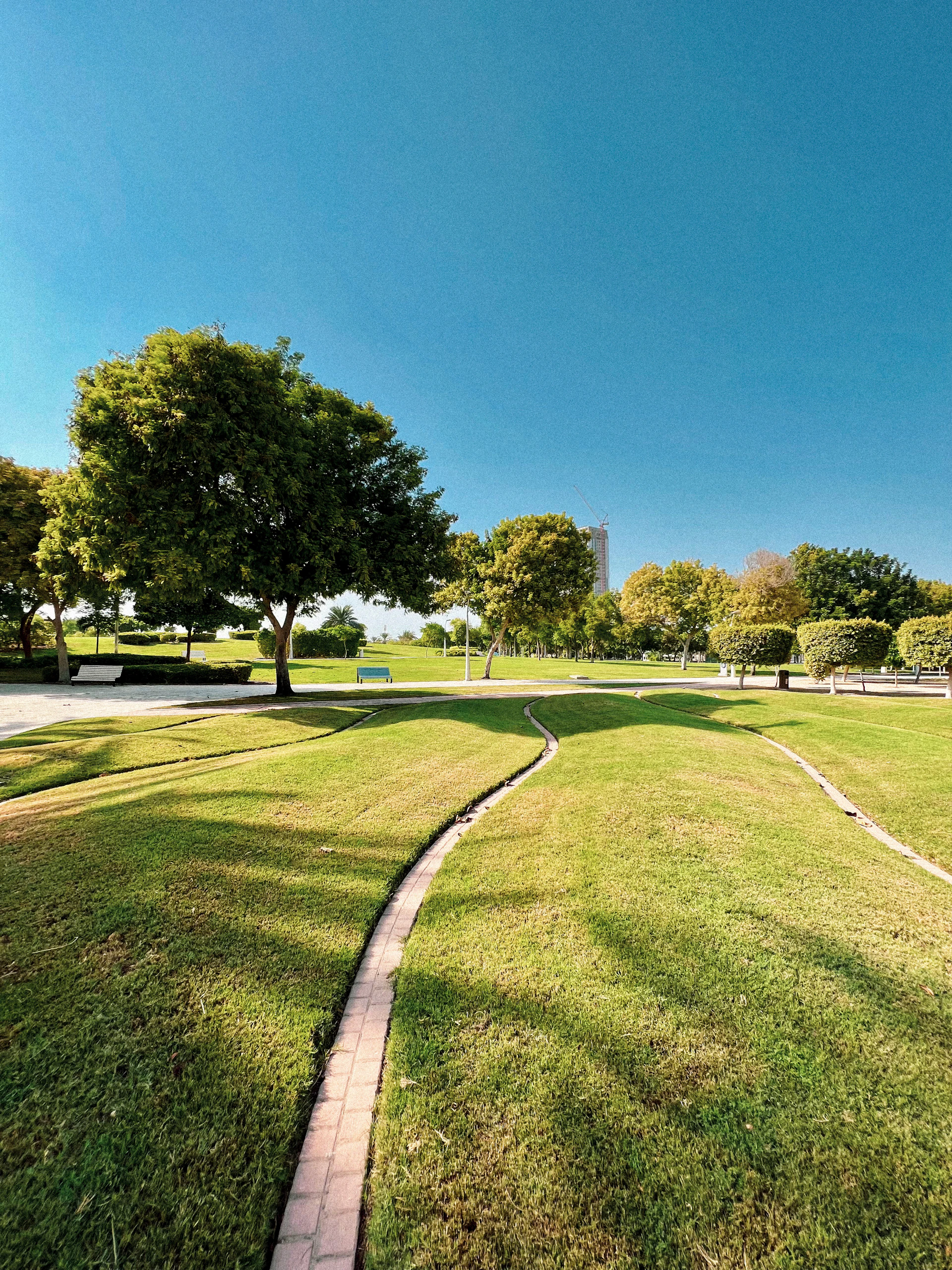 a grassy field with a path going through it