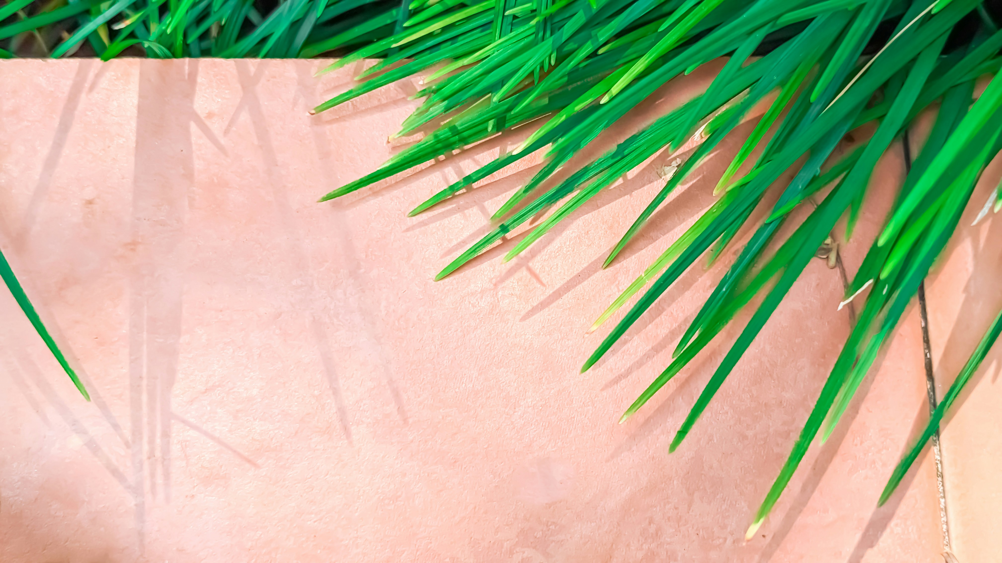 New Hope: Four Drugs to Fight MS Symptoms