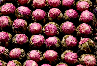 Gravxai pods arranged in a compact cluster inside a secure facility.