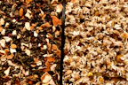 Close-up of vibrant dried chamomile and lavender flowers mixed for a calming tea blend.