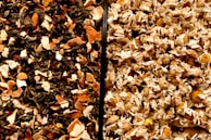 Close-up of natural ingredients like aloe vera and chamomile used in leafhea products.