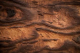 Close-up of a wooden wall art piece with rich grain and natural finish.