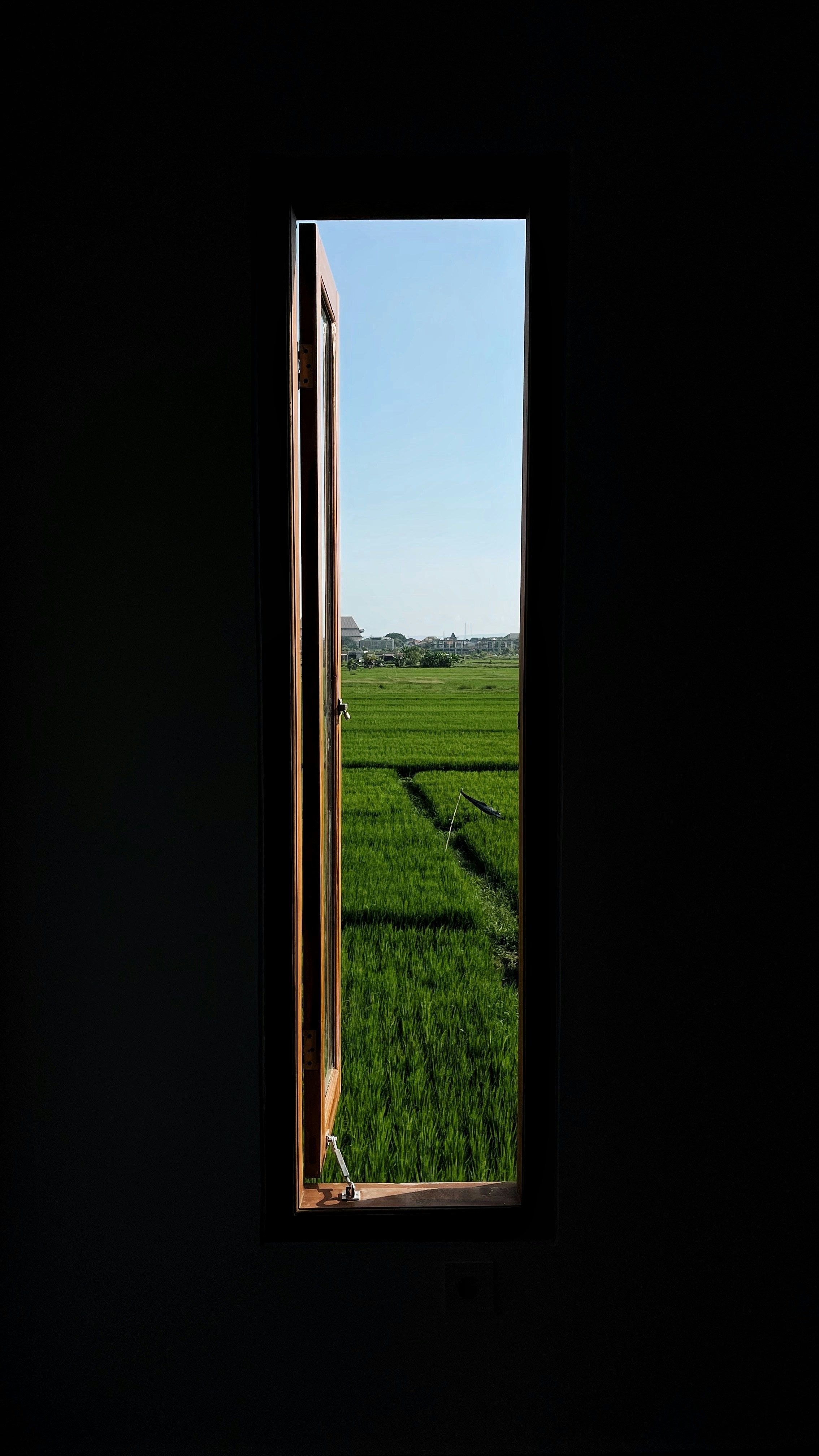 minimalist phone wallpaper, wallpaper, Digital Minimalism: Reclaiming Focus in a Noisy World 6