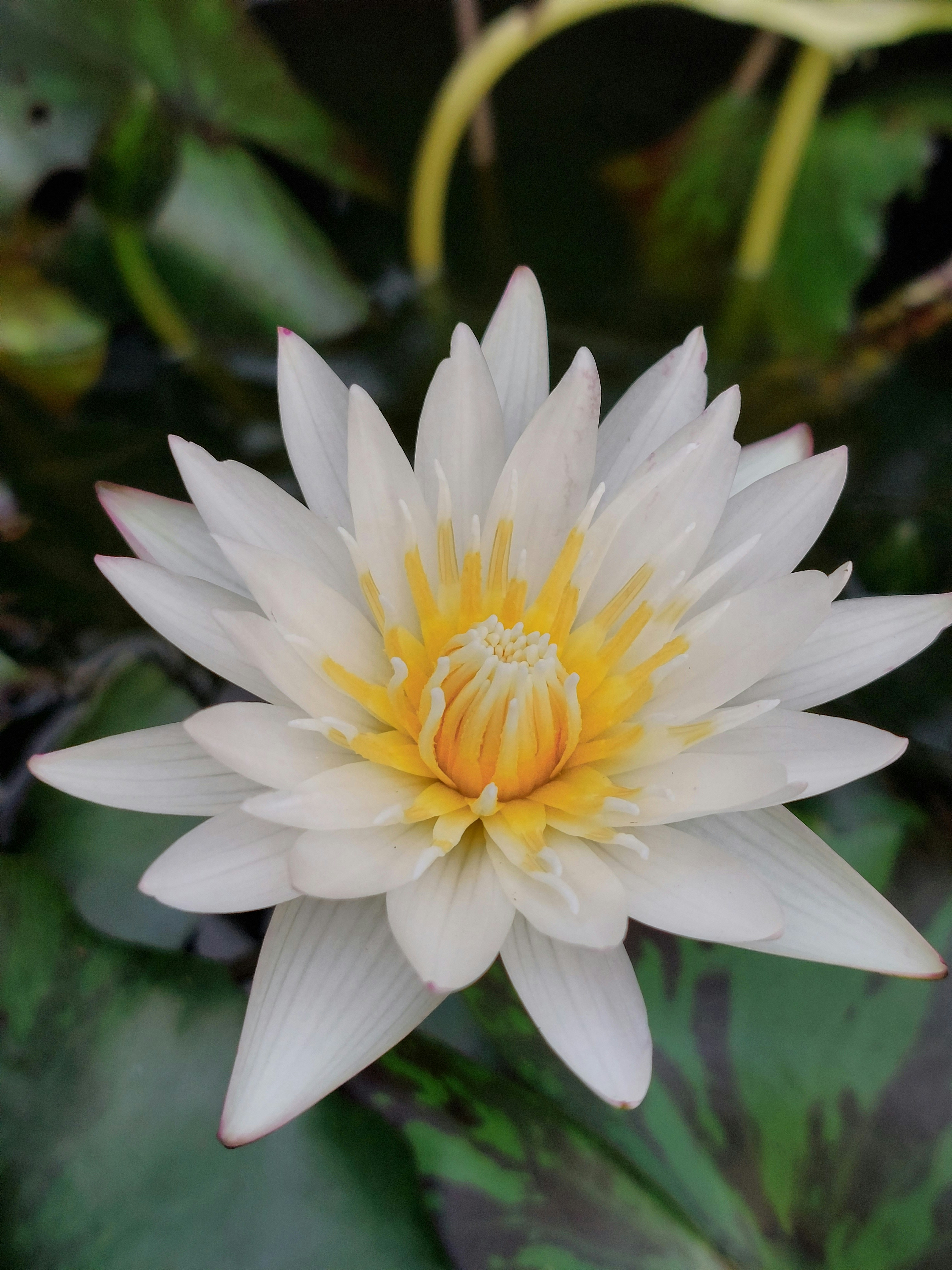 Photo by gnanaprakash