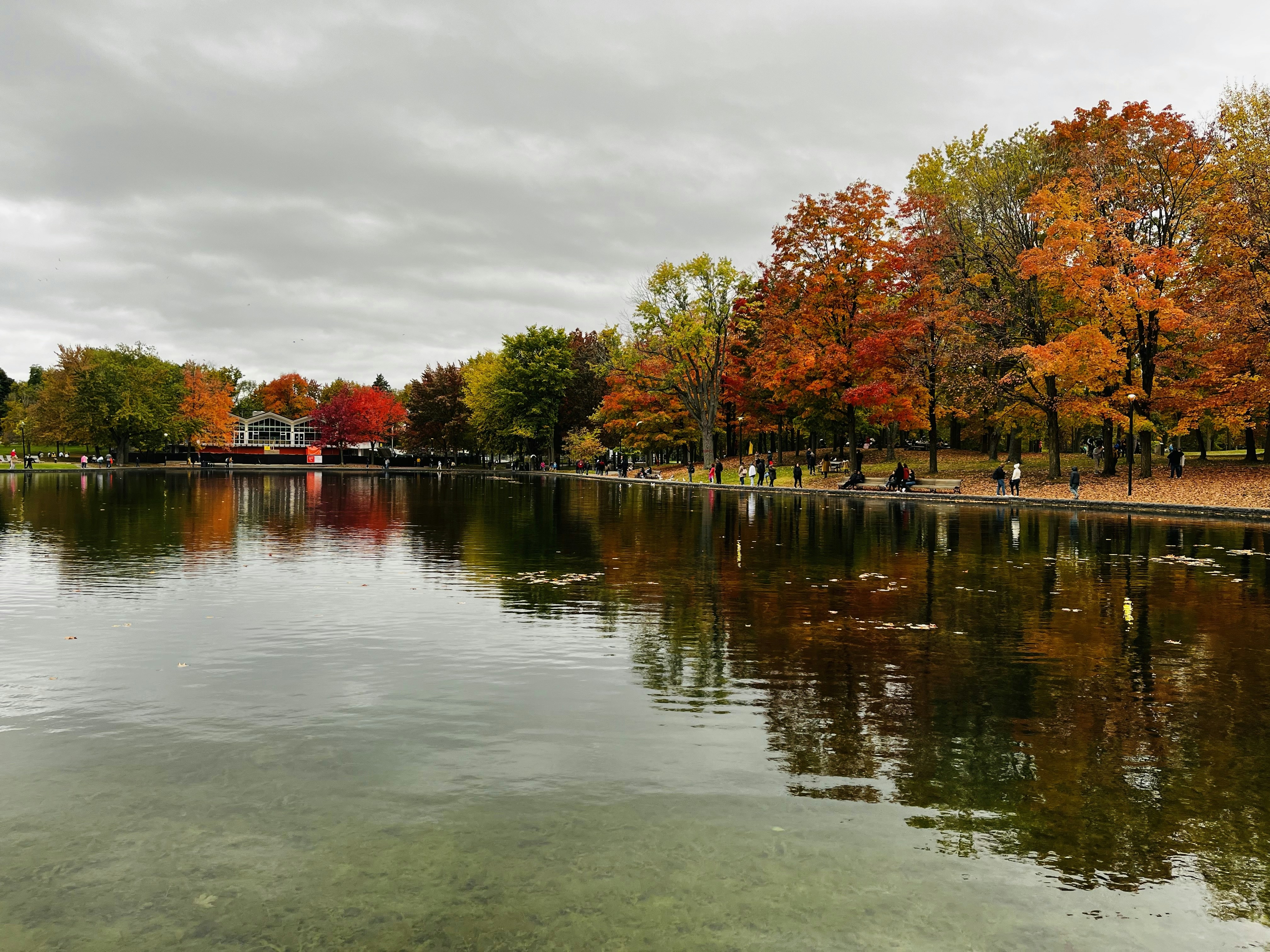 Photo by montrealashish