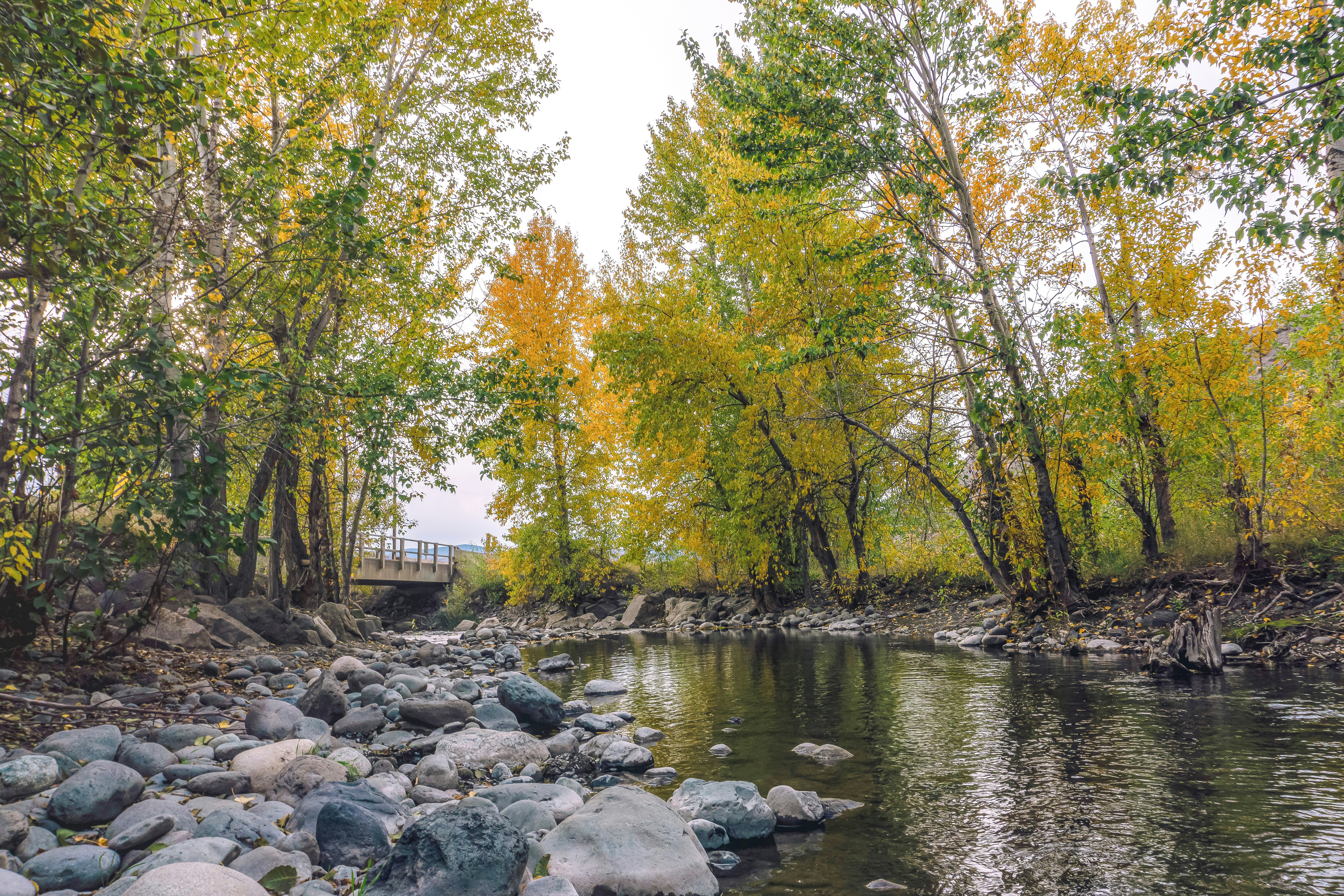 Fall Creek Memorial Park