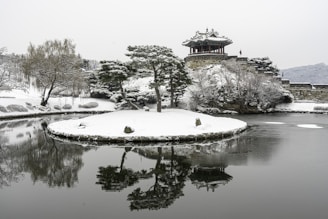 A serene snowy landscape with traditional Chinese herbal medicine elements subtly integrated.