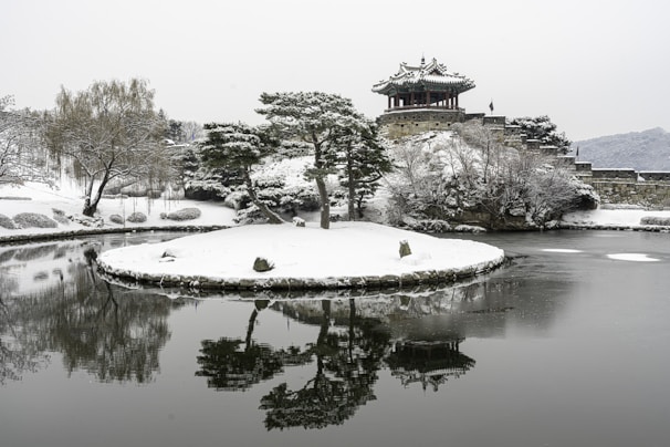 A serene snowy landscape with traditional Chinese herbal medicine elements subtly integrated.
