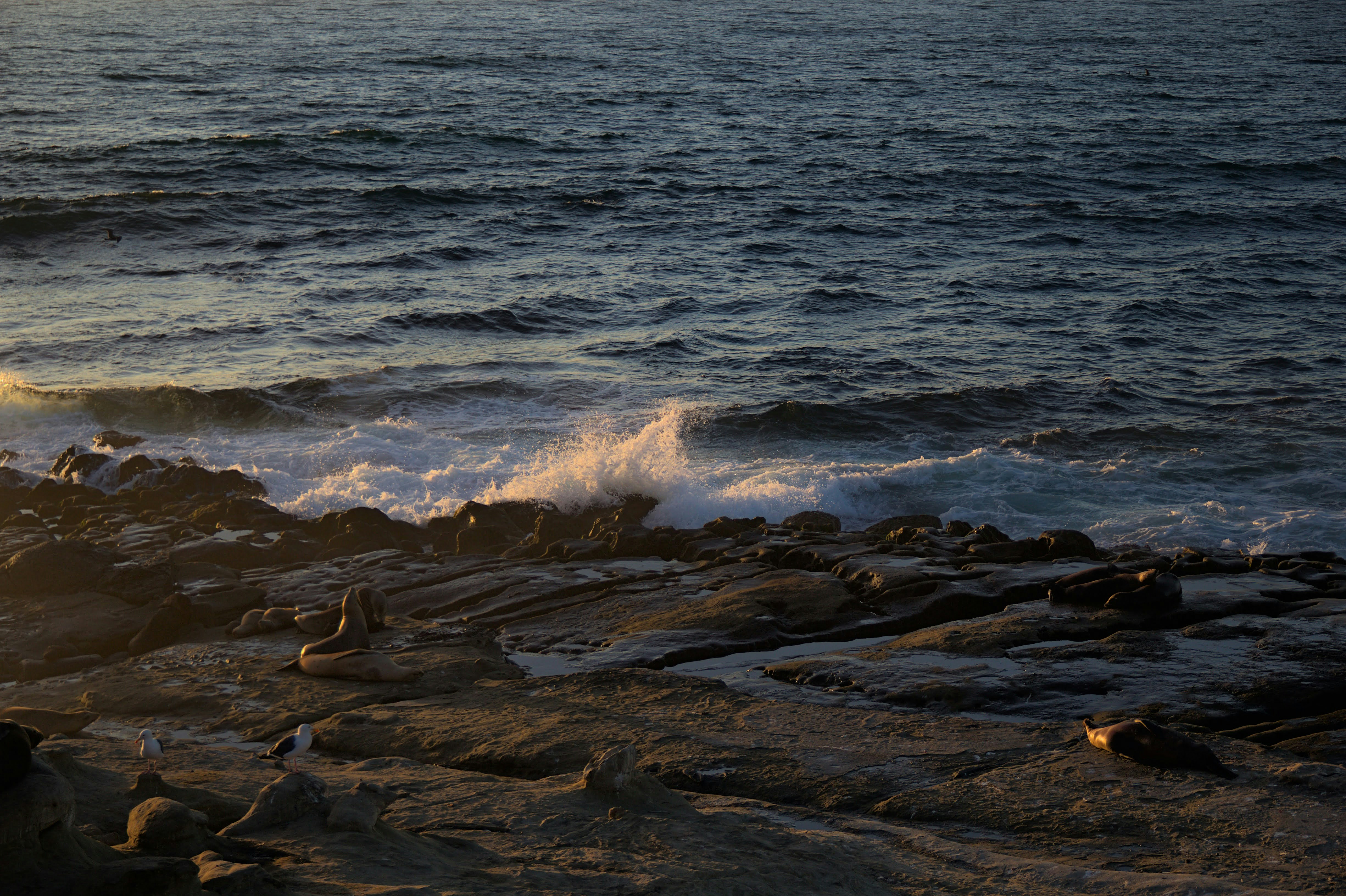 Photo by michaelc179