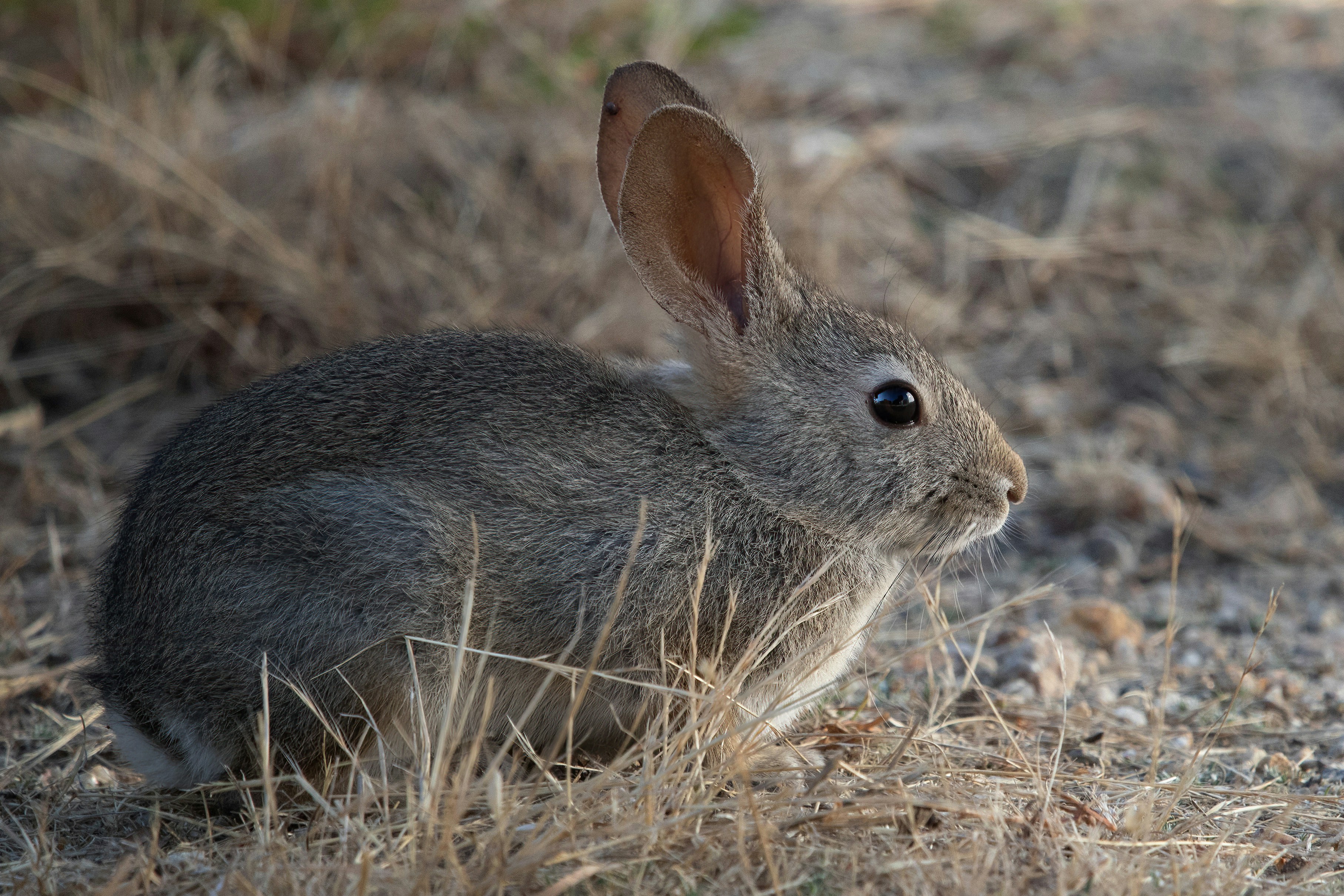 전세대출 조건 완화된 2025년, 누구에게 혜택일까?