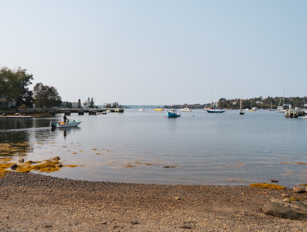 Un grupo de botes flotando en la parte superior de un lago