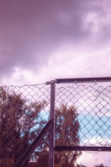 A chain-link fence with a broken section in the upper right part. The background features tall trees and a cloudy sky with a slight pinkish hue. The sky has a gradient from light blue at the horizon to darker shades as it ascends.
