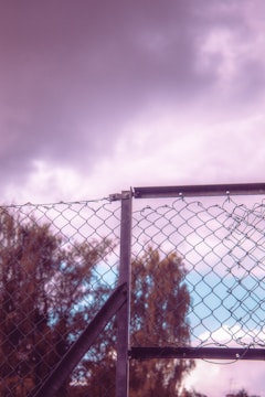 A chain-link fence with a broken section in the upper right part. The background features tall trees and a cloudy sky with a slight pinkish hue. The sky has a gradient from light blue at the horizon to darker shades as it ascends.