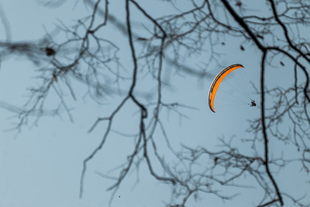 Ein Gleitschirm fliegt über einem Baum durch den Himmel
