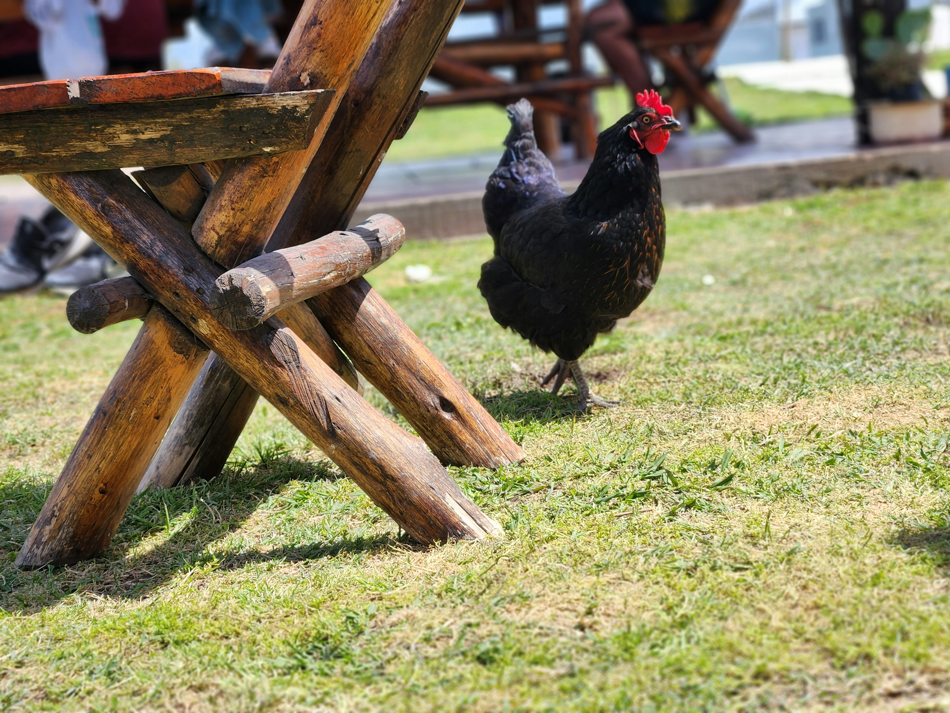 맘스터치 원신의 매력과 트렌드 분석