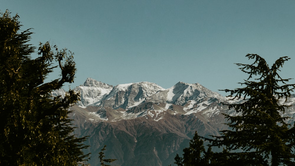 a view of a snow covered mountain through some trees