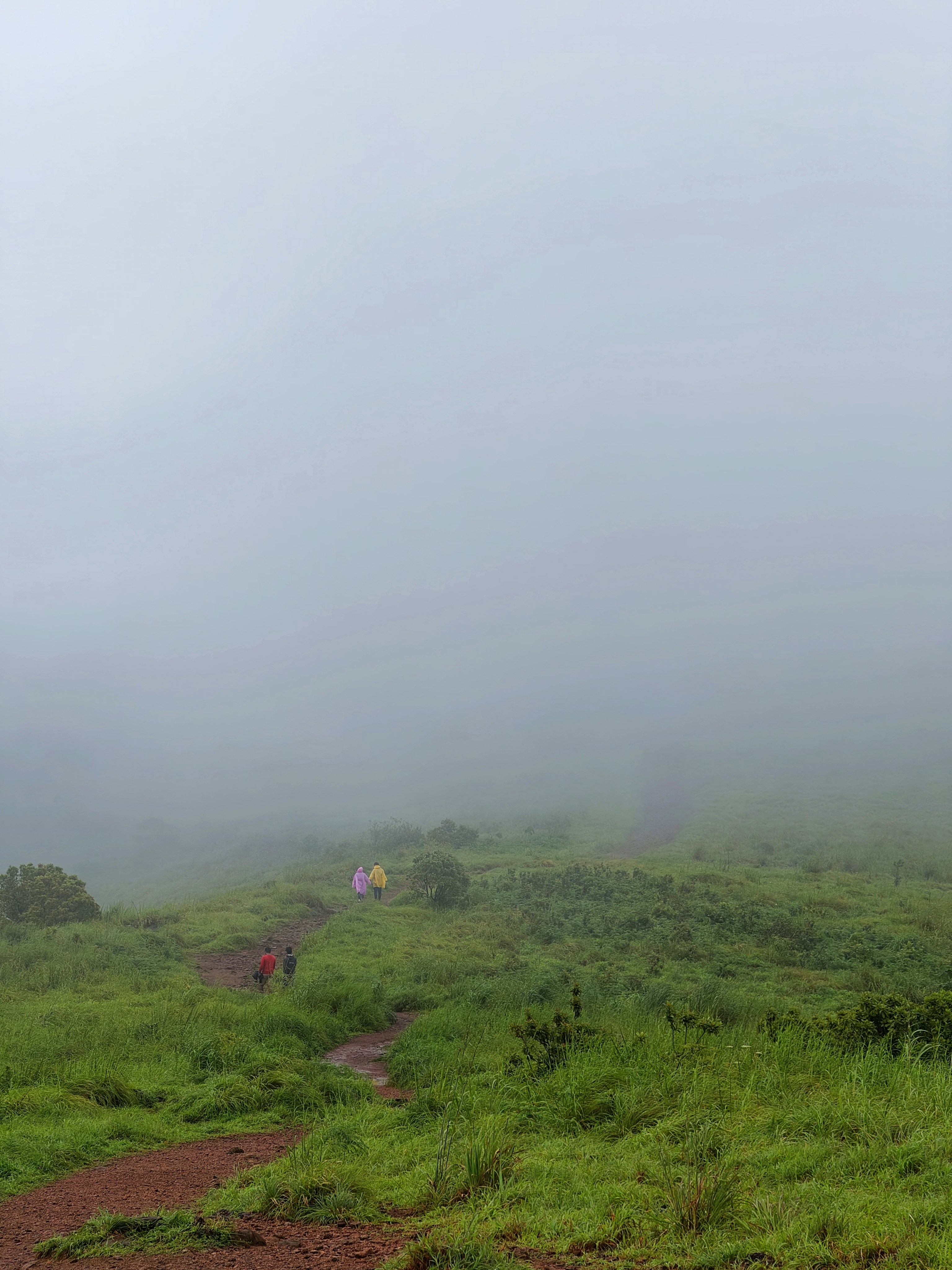 Photo by jishnunarayan0211