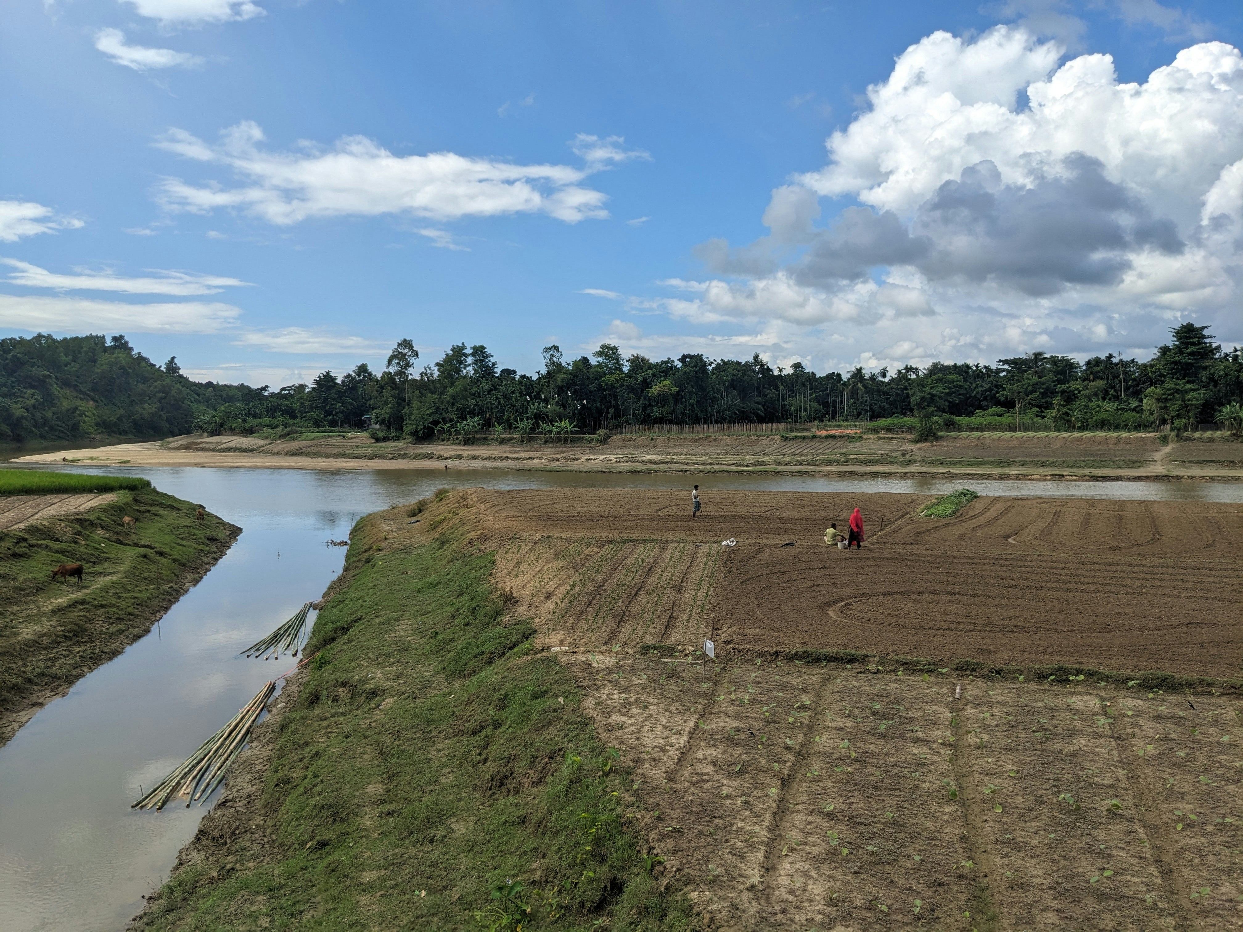 a couple of people walking across a field next to a river