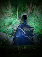 A narrow stream flows through a concrete waterway surrounded by dense green foliage. The stream enters a dark, circular tunnel in the distance. Aside from the tunnel, there are poles and branches jutting out alongside the stream, and various leaves and plants are scattered on the ground and in the water.