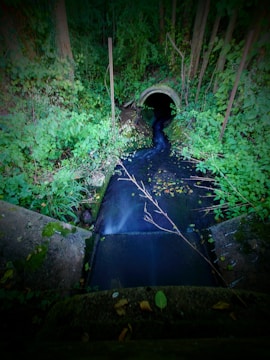 A narrow stream flows through a concrete waterway surrounded by dense green foliage. The stream enters a dark, circular tunnel in the distance. Aside from the tunnel, there are poles and branches jutting out alongside the stream, and various leaves and plants are scattered on the ground and in the water.