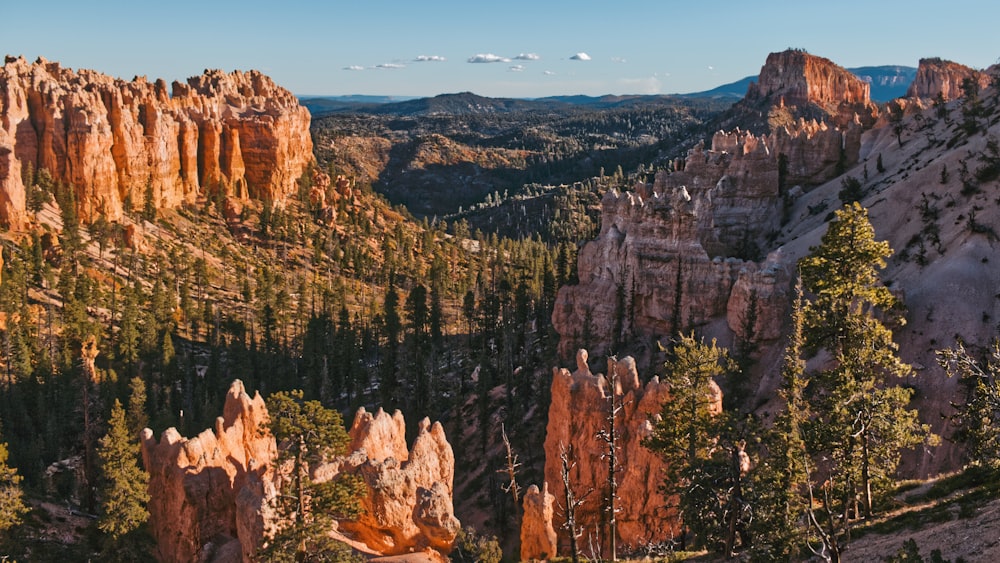 uma vista panorâmica das montanhas e árvores