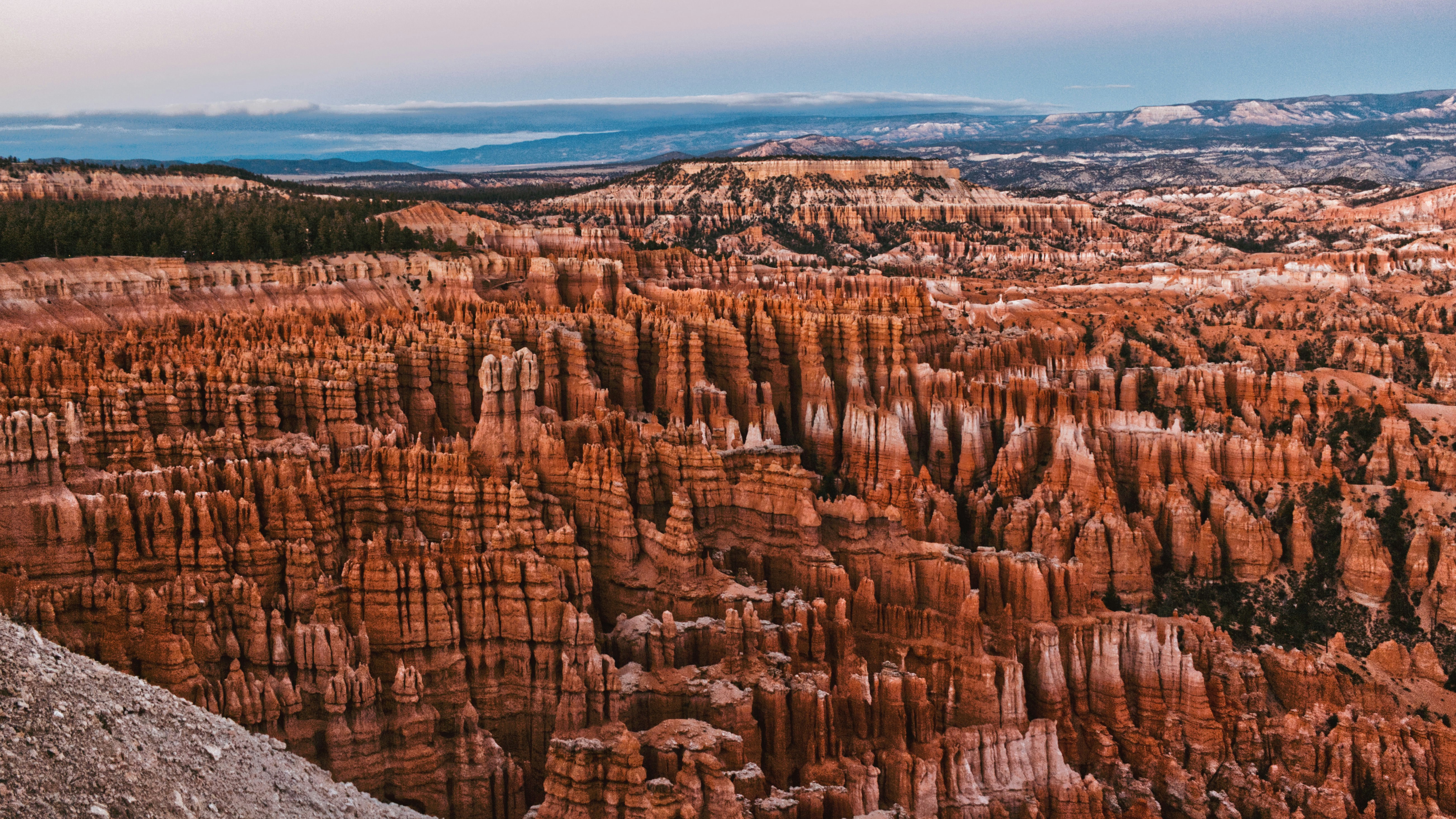 Photo by theskyandthesea