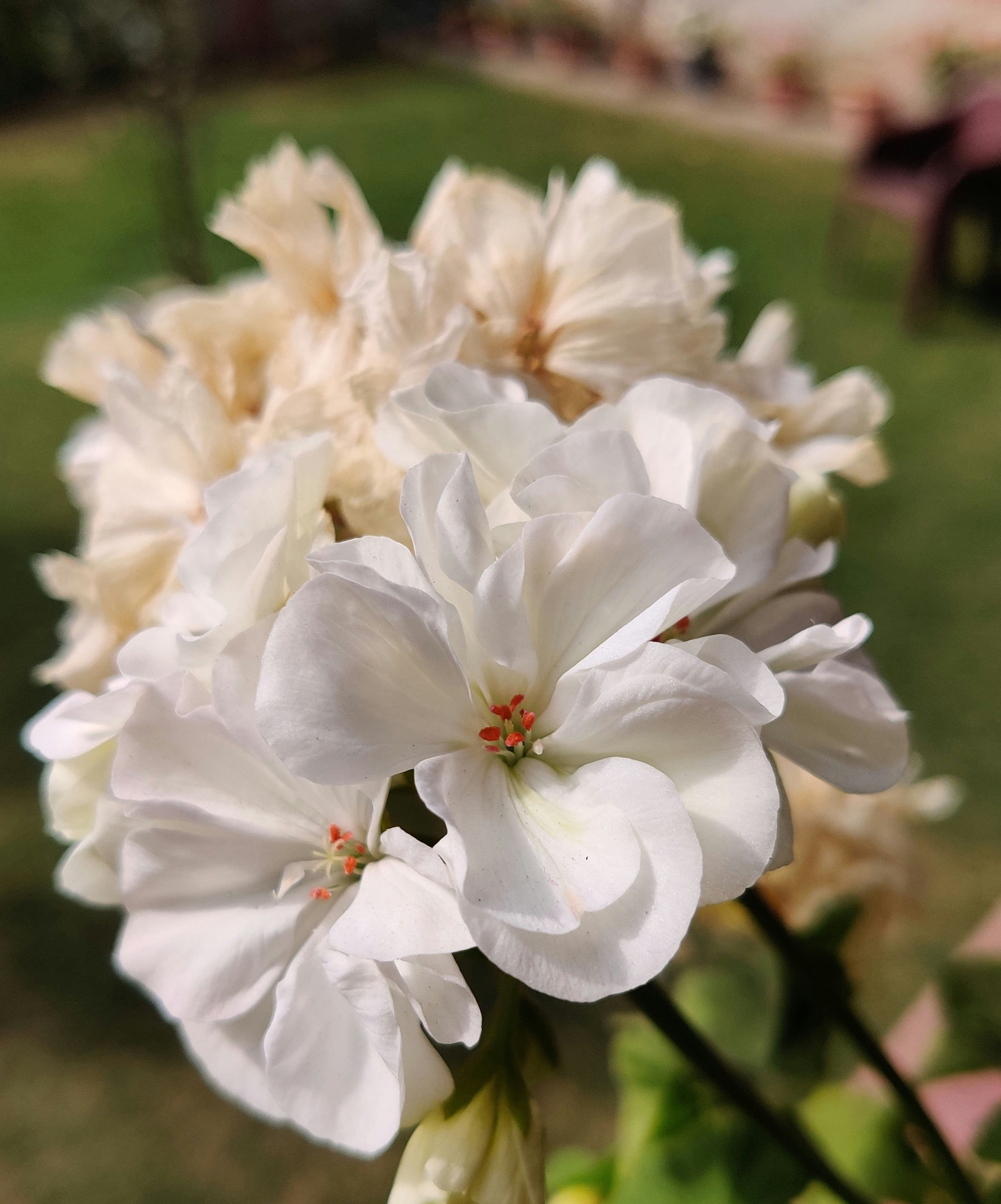 Photo by mosin_rehana