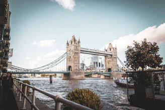a view of the tower bridge from across the river