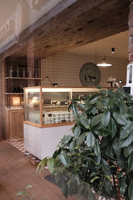 The interior of a quaint shop with exposed brick and tiled walls featuring a display case filled with dairy products. A large leafy green plant is in the foreground and a round wall sign is visible in the background.