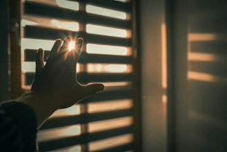 A small hand reaching out to touch a gentle beam of sunlight streaming through a window.