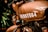A close-up view of a tan-colored motorcycle, focusing on the fuel tank with the number RE-007564 painted in white. The badge or logo near the tank is visible, as well as parts of the engine and handlebar. The background is slightly blurred, featuring some greenery.