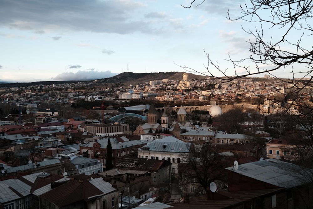 a view of a city with a mountain in the background